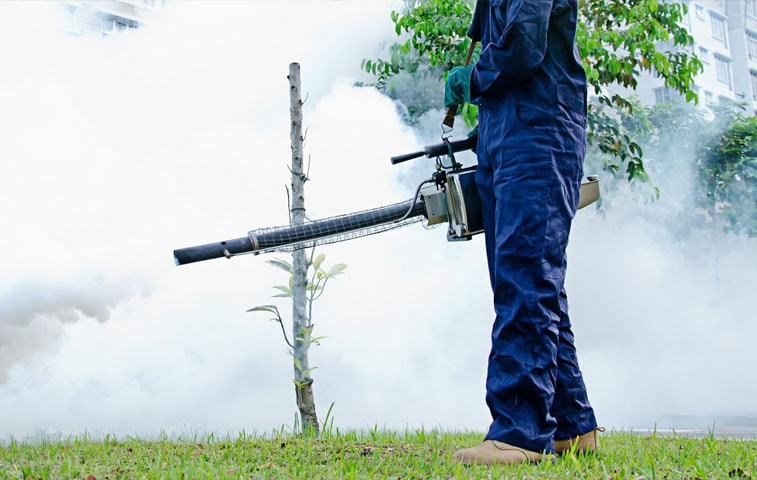 fumigaciones en Coyoacán