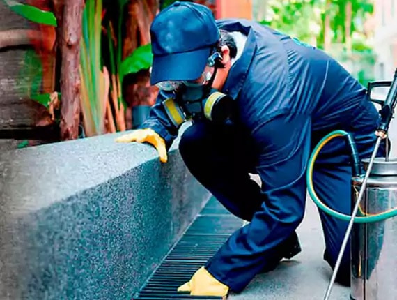 fumigaciones en Azcapotzalco