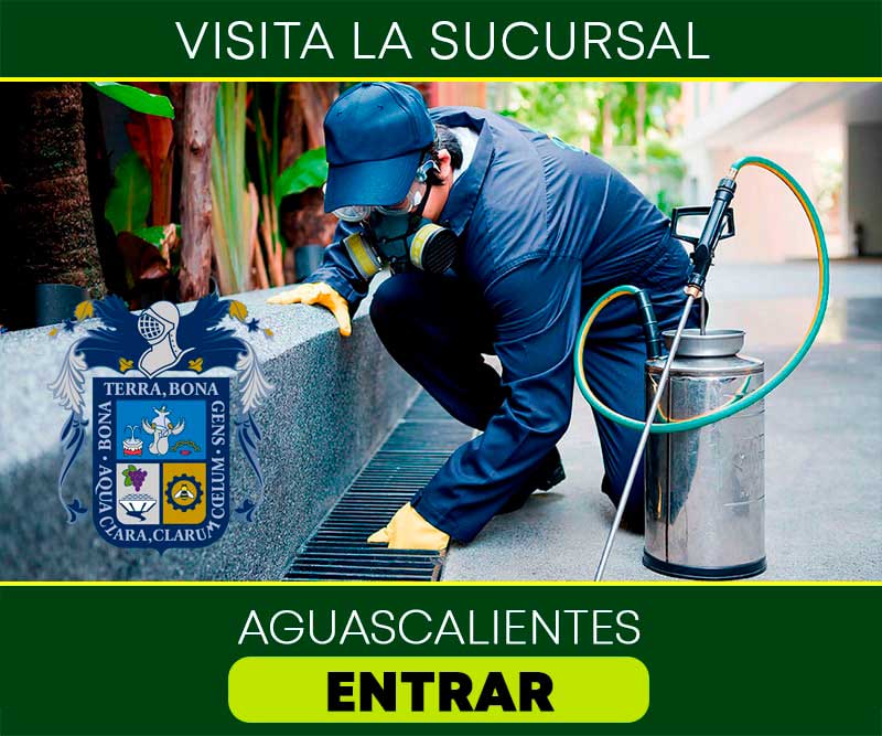 Fumigaciones cdmx