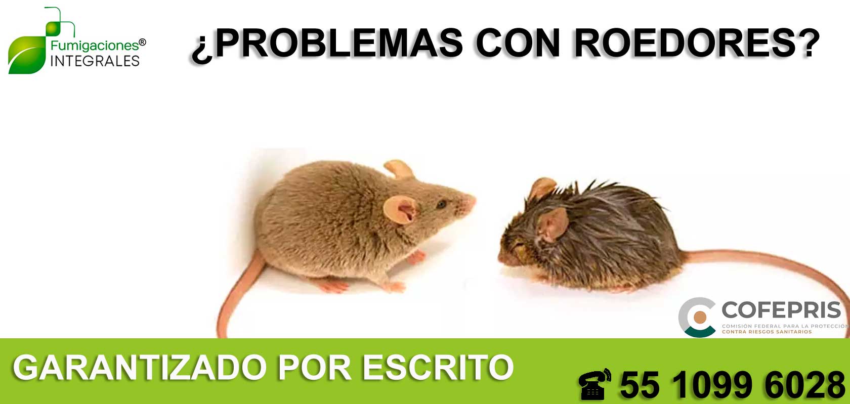 Exterminador de ratas