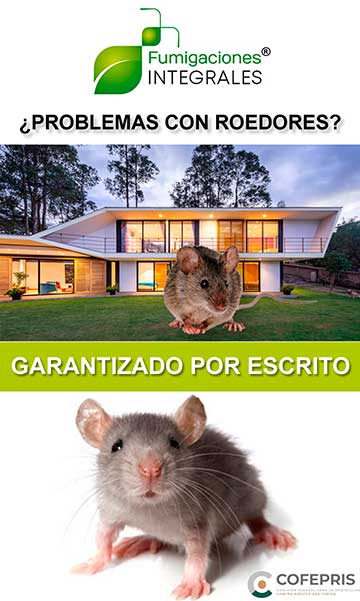 Exterminador de ratas