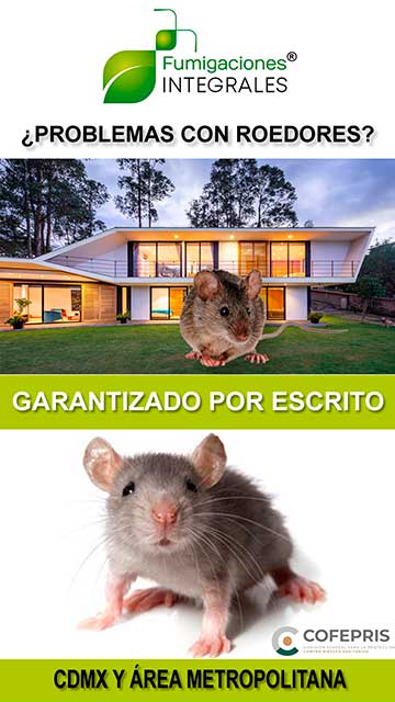 Exterminador de ratas